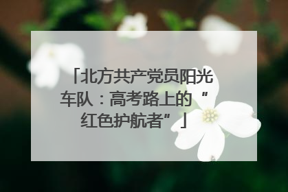 北方共产党员阳光车队：高考路上的“红色护航者”