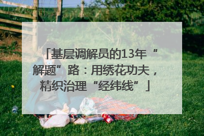 基层调解员的13年“解题”路：用绣花功夫，精织治理“经纬线”