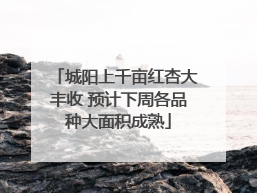 城阳上千亩红杏大丰收 预计下周各品种大面积成熟