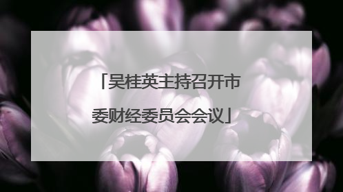 吴桂英主持召开市委财经委员会会议