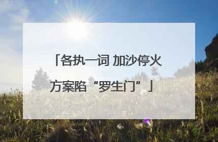 各执一词 加沙停火方案陷“罗生门”