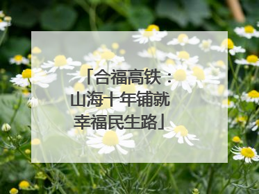 合福高铁：山海十年铺就幸福民生路