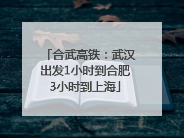 合武高铁：武汉出发1小时到合肥3小时到上海