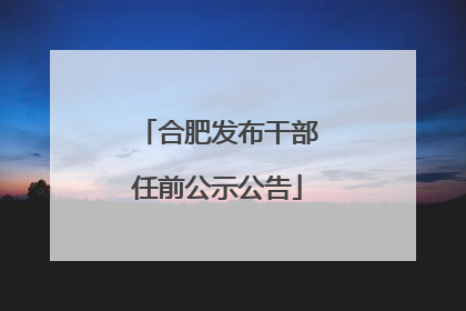 合肥发布干部任前公示公告