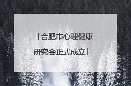 合肥市心理健康研究会正式成立