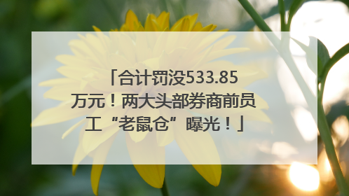 合计罚没533.85万元！两大头部券商前员工“老鼠仓”曝光！