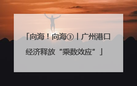 向海！向海③丨广州港口经济释放“乘数效应”