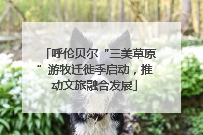 呼伦贝尔“三美草原”游牧迁徙季启动，推动文旅融合发展