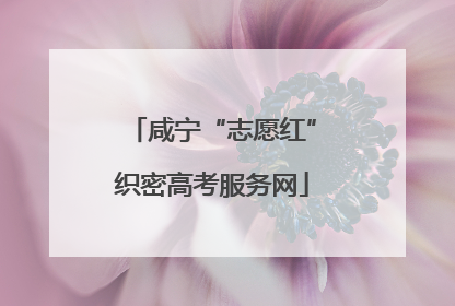 咸宁“志愿红”织密高考服务网