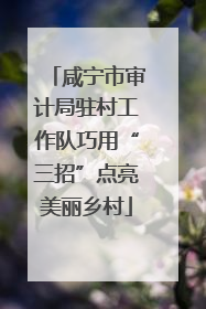 咸宁市审计局驻村工作队巧用“三招”点亮美丽乡村