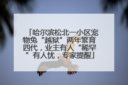 哈尔滨松北一小区宠物兔“越狱”两年繁育四代，业主有人“稀罕”有人忧，专家提醒