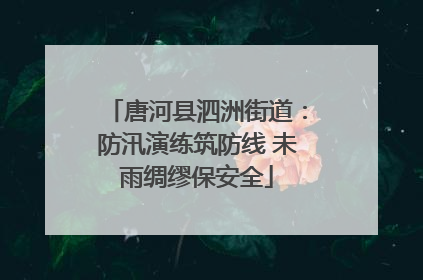 唐河县泗洲街道：防汛演练筑防线 未雨绸缪保安全