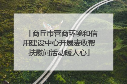 商丘市营商环境和信用建设中心开展麦收帮扶慰问活动暖人心
