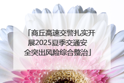 商丘高速交警扎实开展2025夏季交通安全突出风险综合整治