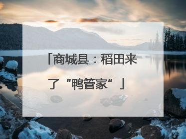 商城县：稻田来了“鸭管家”