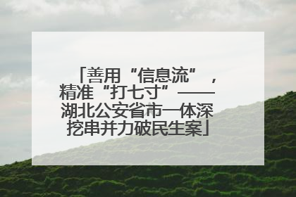 善用“信息流”，精准“打七寸”——湖北公安省市一体深挖串并力破民生案