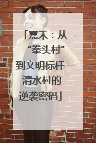 嘉禾：从“拳头村”到文明标杆 清水村的逆袭密码