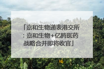 嘉和生物递表港交所：嘉和生物+亿腾医药战略合并即将收官