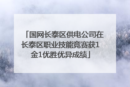 国网长泰区供电公司在长泰区职业技能竞赛获1金1优胜优异成绩