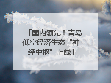 国内领先！青岛低空经济生态“神经中枢”上线