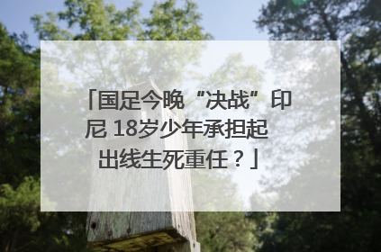 国足今晚“决战”印尼 18岁少年承担起出线生死重任？