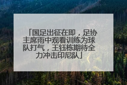 国足出征在即，足协主席雨中观看训练为球队打气，王钰栋期待全力冲击印尼队