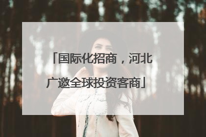 国际化招商，河北广邀全球投资客商