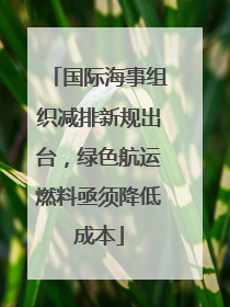 国际海事组织减排新规出台，绿色航运燃料亟须降低成本