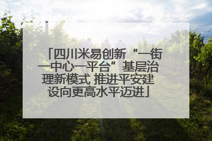 四川米易创新“一街一中心一平台”基层治理新模式 推进平安建设向更高水平迈进