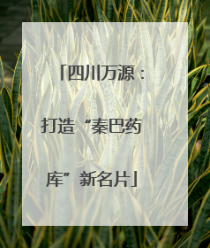 四川万源：打造“秦巴药库”新名片