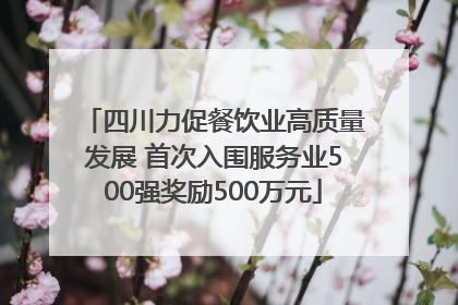 四川力促餐饮业高质量发展 首次入围服务业500强奖励500万元