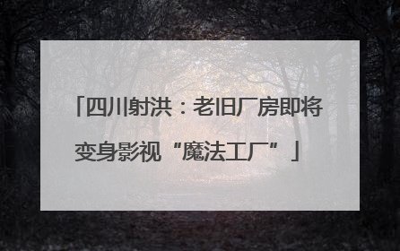 四川射洪：老旧厂房即将变身影视“魔法工厂”