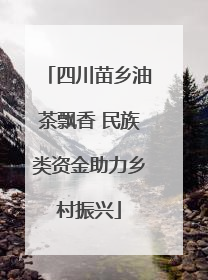 四川苗乡油茶飘香 民族类资金助力乡村振兴