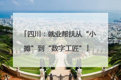 四川：就业帮扶从“小摊”到“数字工匠”