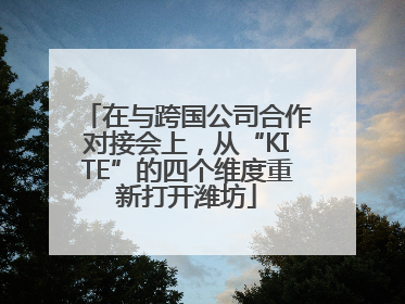 在与跨国公司合作对接会上，从“KITE”的四个维度重新打开潍坊