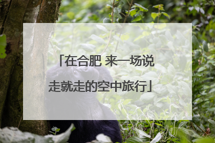 在合肥 来一场说走就走的空中旅行
