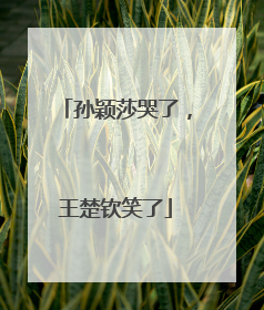 孙颖莎哭了，王楚钦笑了