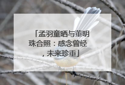 孟羽童晒与董明珠合照：感念曾经，未来珍重