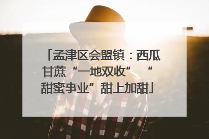 孟津区会盟镇：西瓜甘蔗“一地双收” “甜蜜事业”甜上加甜