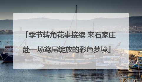 季节转角花事接续 来石家庄赴一场鸢尾绽放的彩色梦境