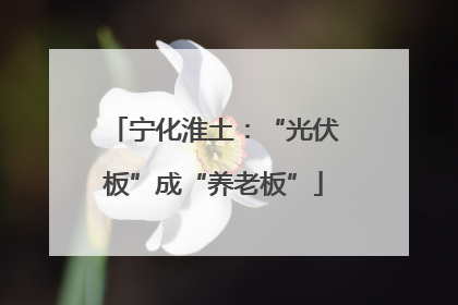 宁化淮土：“光伏板”成“养老板”