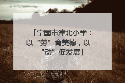 宁国市津北小学：以“劳”育美德，以“动”促发展