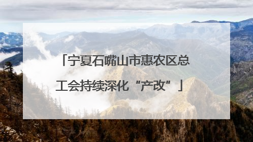 宁夏石嘴山市惠农区总工会持续深化“产改”