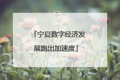 宁夏数字经济发展跑出加速度