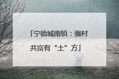 宁德城南镇：强村共富有“土”方