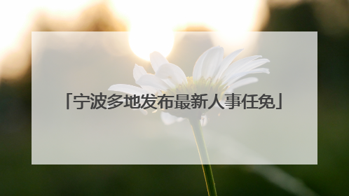 宁波多地发布最新人事任免