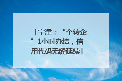 宁津：“个转企”1小时办结，信用代码无缝延续