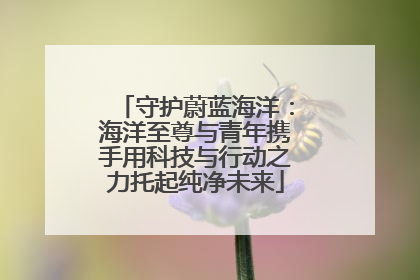 守护蔚蓝海洋：海洋至尊与青年携手用科技与行动之力托起纯净未来