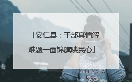 安仁县：干部真情解难题一面锦旗映民心