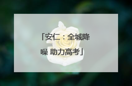 安仁：全城降噪 助力高考